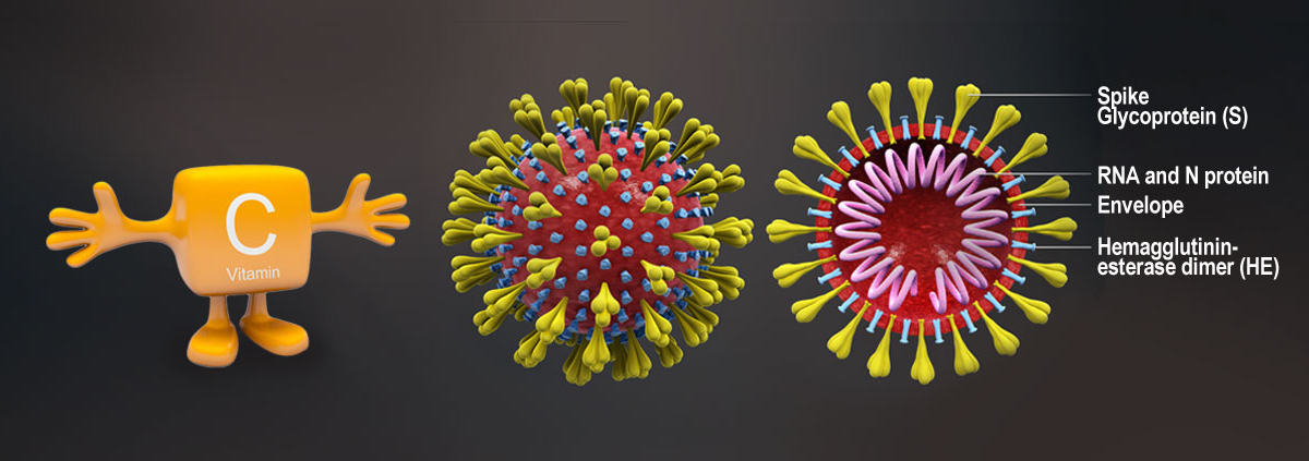 Coronavirus-VitC