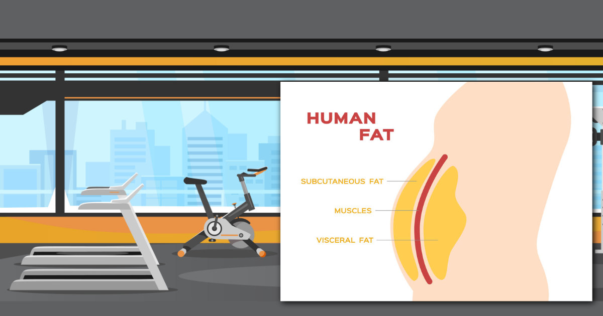 AbdominalFat