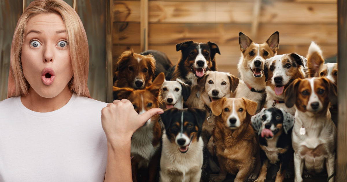 Woman-and-Dogs